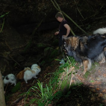 Mittelspitz Aragon von der Roßsteige in der Huettlenwaldschlucht 16 Mittelspitz Aragon von der Roßsteige in der Huettlenwaldschlucht 16