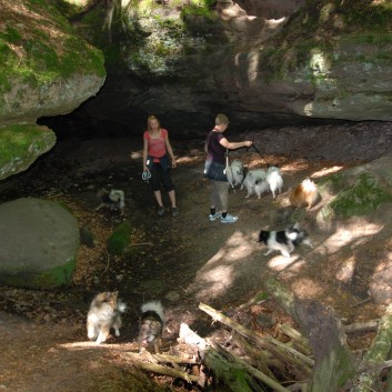 Mittelspitz Aragon von der Roßsteige in der Huettlenwaldschlucht 17 Mittelspitz Aragon von der Roßsteige in der Huettlenwaldschlucht 17