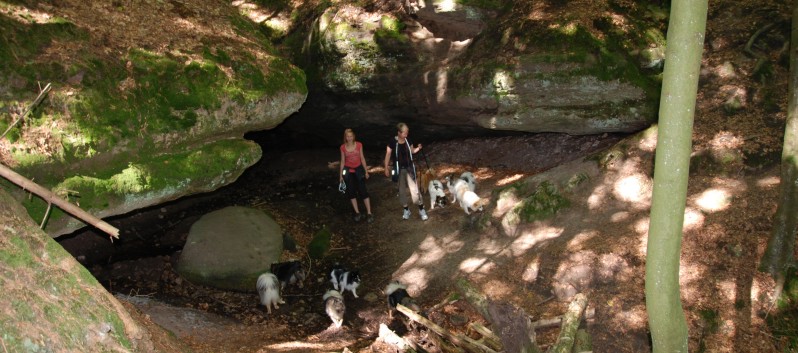 Mittelspitz Aragon von der Rosteige in der Huettlenwaldschlucht 18