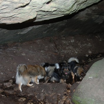 Mittelspitz Aragon von der Rosteige in der Huettlenwaldschlucht 19