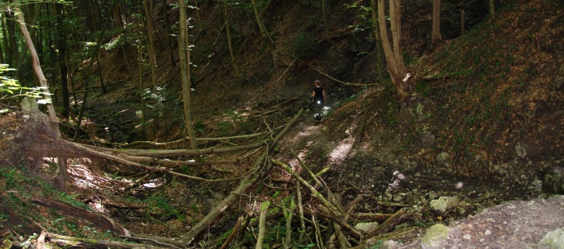 Mittelspitz Aragon von der Roßsteige in der Huettlenwaldschlucht 21 Mittelspitz Aragon von der Roßsteige in der Huettlenwaldschlucht 21