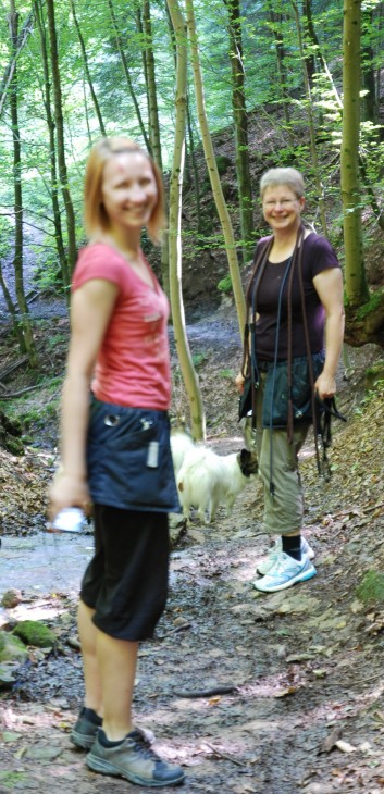 Mittelspitz Aragon von der Roßsteige in der Huettlenwaldschlucht 27 Mittelspitz Aragon von der Roßsteige in der Huettlenwaldschlucht 27