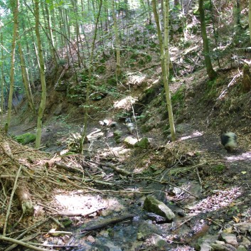 Mittelspitz Aragon von der Roßsteige in der Huettlenwaldschlucht 34 Mittelspitz Aragon von der Roßsteige in der Huettlenwaldschlucht 34