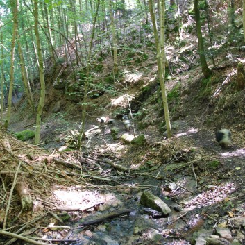 Mittelspitz Aragon von der Rosteige in der Huettlenwaldschlucht 34