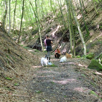 Mittelspitz Aragon von der Roßsteige in der Huettlenwaldschlucht 36 Mittelspitz Aragon von der Roßsteige in der Huettlenwaldschlucht 36