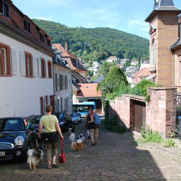 Mittelspitz Aragon von der Roßsteige zu Besuch in Heidelberg 11 Mittelspitz Aragon von der Roßsteige zu Besuch in Heidelberg 11
