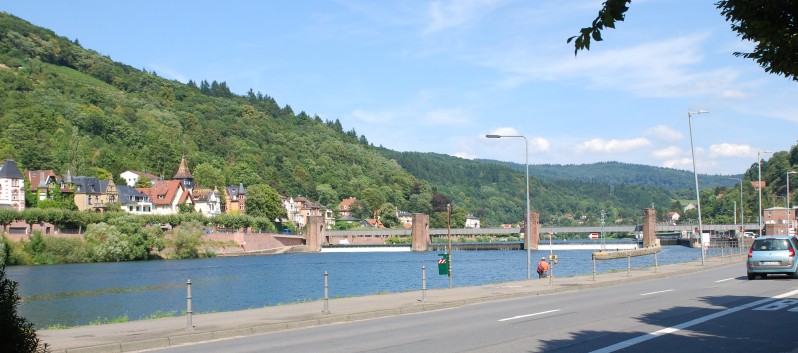 Mittelspitz Aragon von der Roßsteige zu Besuch in Heidelberg 12 Mittelspitz Aragon von der Roßsteige zu Besuch in Heidelberg 12