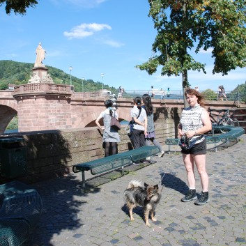 Mittelspitz Aragon von der Roßsteige zu Besuch in Heidelberg 14 Mittelspitz Aragon von der Roßsteige zu Besuch in Heidelberg 14