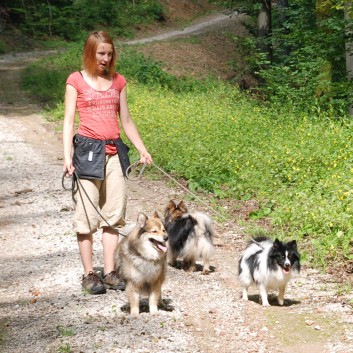 Mittelspitz Aragon von der Rosteige zu Besuch in Spiegelberg 09