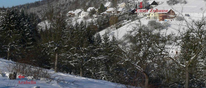 Mittelspitze von der Roßsteige - So leben wir 52b Mittelspitze von der Roßsteige - So leben wir 52b