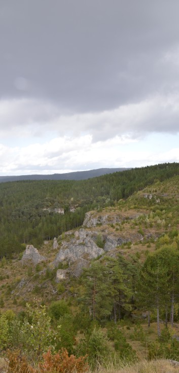 Mittelspitze von der Rosteige am Gorges Du Tarn 2017 - 254
