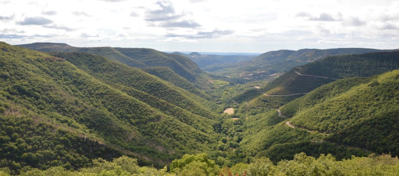 Mittelspitze von der Rosteige am Gorges Du Tarn 2017 - 284