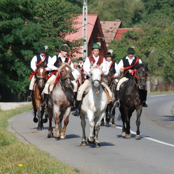 Mittelspitze von der Rosteige auf der CACIB 2011 Targu Mures in Rumnien 08