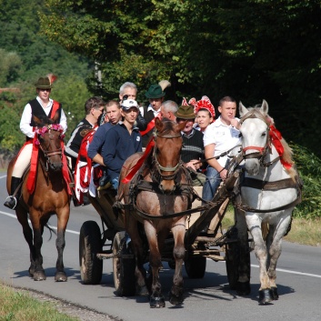 Mittelspitze von der Rosteige auf der CACIB 2011 Targu Mures in Rumnien 09