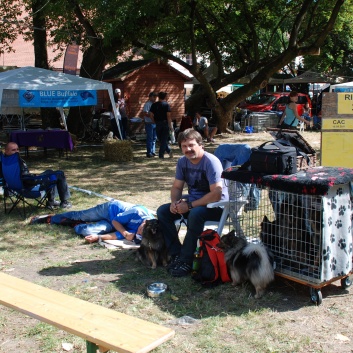 Mittelspitze von der Rosteige auf der CACIB 2011 Targu Mures in Rumnien 18