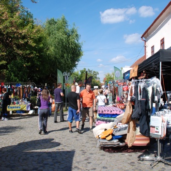 Mittelspitze von der Rosteige auf der CACIB 2011 Targu Mures in Rumnien 19