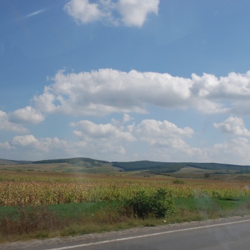 Mittelspitze von der Rosteige in Targu Mures in Rumnien 19