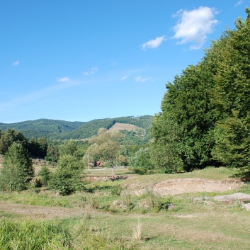 Mittelspitze von der Rosteige in Targu Mures in Rumnien 29