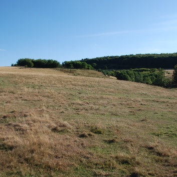 Mittelspitze von der Rosteige in Targu Mures in Rumnien 33