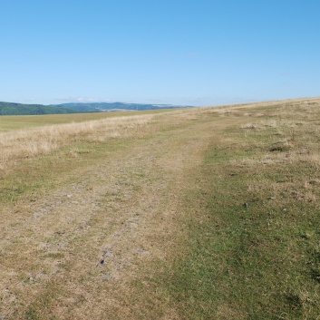 Mittelspitze von der Rosteige in Targu Mures in Rumnien 34