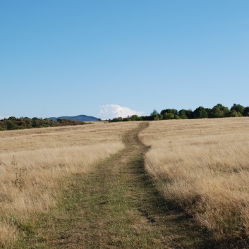 Mittelspitze von der Rosteige in Targu Mures in Rumnien 39