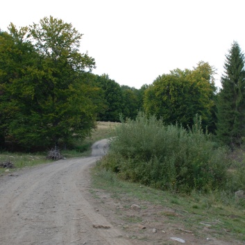 Mittelspitze von der Rosteige in Targu Mures in Rumnien 53