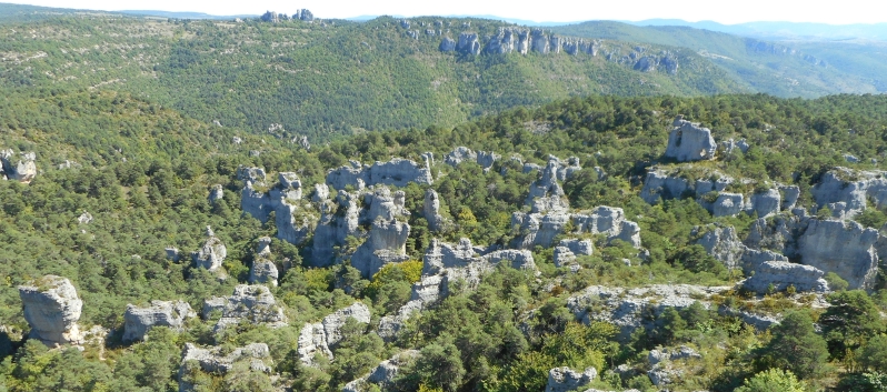 Montpellier le Vieux 54