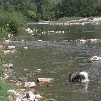 Nationalpark Grands Causses mit den Mittelspitzen 2015 - 122