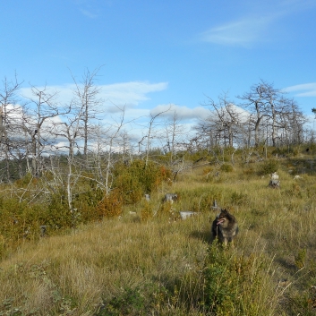 Nationalpark Grands Causses mit den Mittelspitzen 2015 - 64