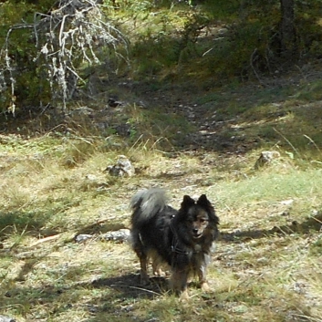 Nationalpark Grands Causses mit den Mittelspitzen 2015 - 94