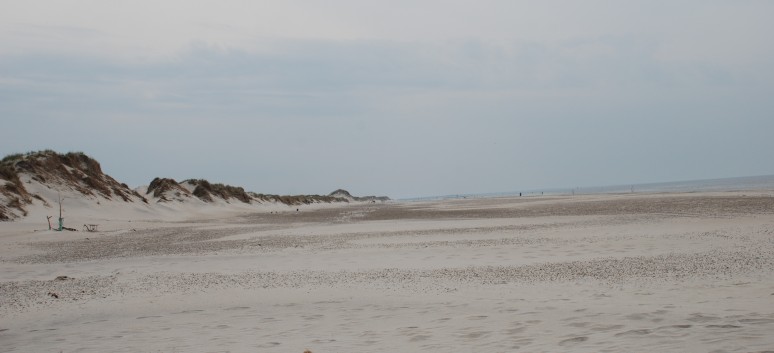 Skallingen und Blavand in Dnemark mit den Mittelspitzen von der Rosteige 01