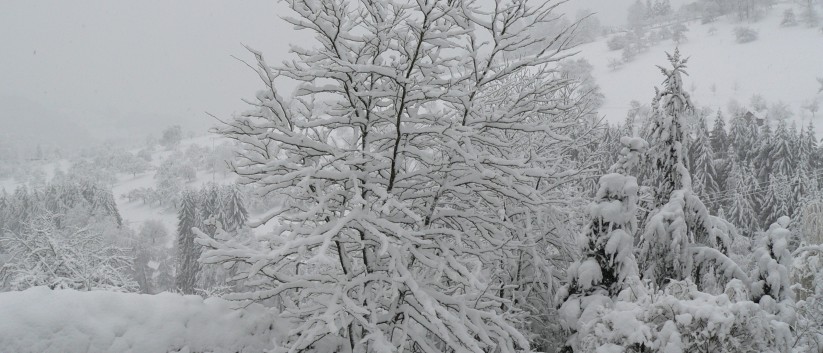 So leben die Mittelspitze von der Roßsteige 02 So leben die Mittelspitze von der Roßsteige 02