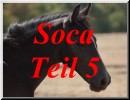 Socca-Teil-5