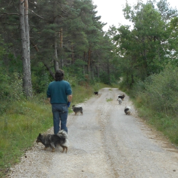 Tour von Les Vignes nach Massegros 08