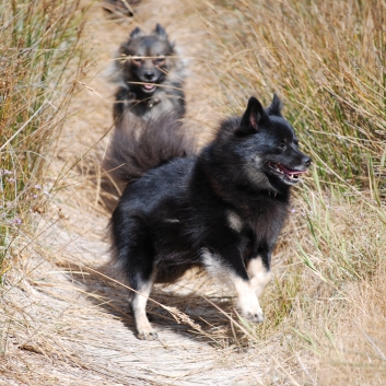 Urlaub mit Spitzen im September 2010 - 29