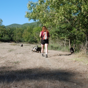 Urlaub mit Spitzen im September 2010 - 72