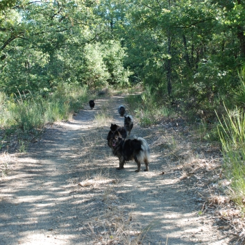 Urlaub mit Spitzen im September 2010 - 78