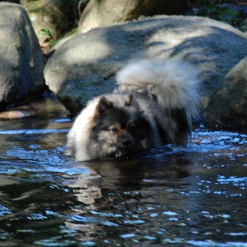 Urlaub mit Spitzen im September 2010 - 85