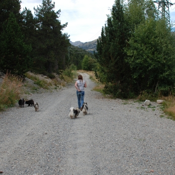 Urlaub mit Spitzen in den Pyrenen im September 2010 - 25