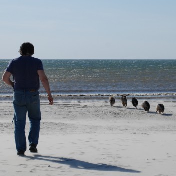 Vejers Strand in Dnemark mit den Mittelspitzen von der Rosteige 03