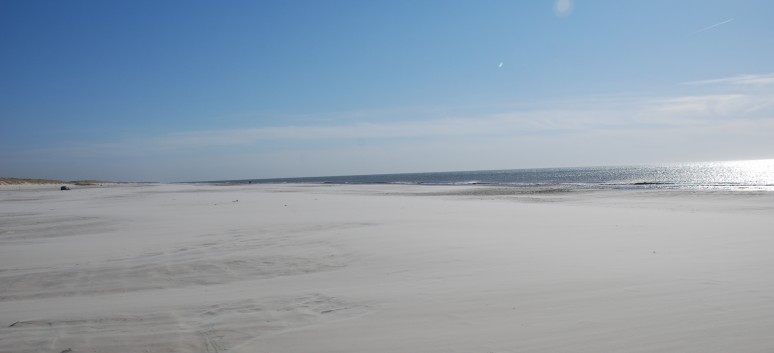 Vejers Strand in Dnemark mit den Mittelspitzen von der Rosteige 08