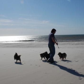 Vejers Strand in Dnemark mit den Mittelspitzen von der Rosteige 09