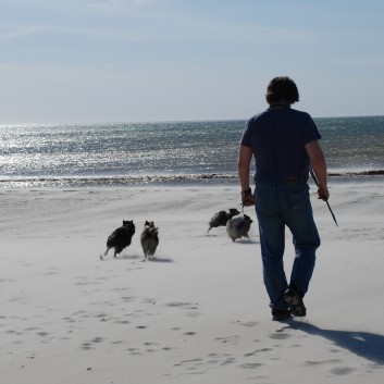 Vejers Strand in Dnemark mit den Mittelspitzen von der Rosteige 10