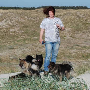 Vejers Strand in Dnemark mit den Mittelspitzen von der Rosteige 23