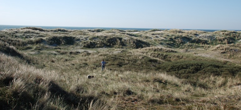 Vejers Strand in Dnemark mit den Mittelspitzen von der Rosteige 26