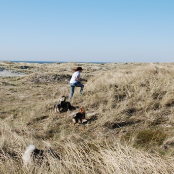 Vejers Strand in Dnemark mit den Mittelspitzen von der Rosteige 27