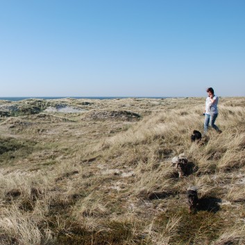 Vejers Strand in Dnemark mit den Mittelspitzen von der Rosteige 28