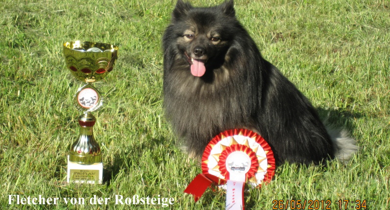 Weltsieger 2012 Mittelspitz Fletcher von der Rosteige