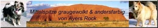 Banner Zuchtsttte Mittelspitze von Ayers Rock