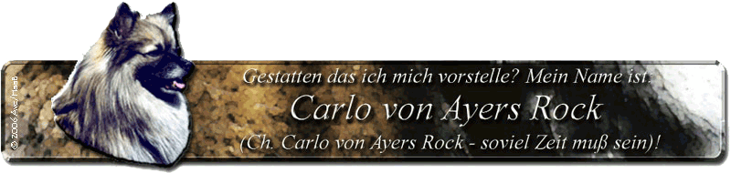 Carlo von Ayers Rock